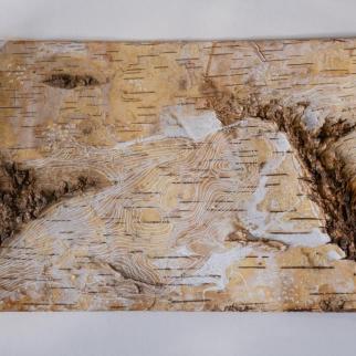 Ink drawing on driftwood 