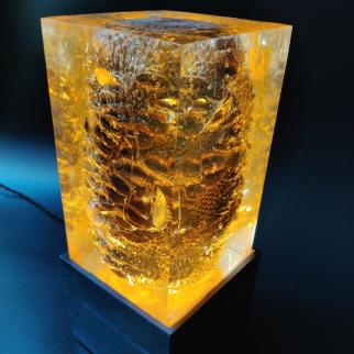 banksia nut in resin lamp