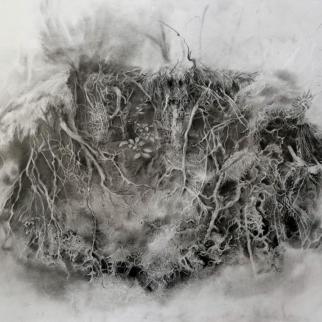Roots - graphite on paper by Jennifer Robson 