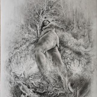 Emergence - The Earth Turns - graphite on paper -Jennifer Robson