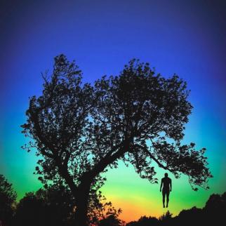 A dark silhouette of a tree and a figure in the distance with a dramatically colourful sunset in the background..