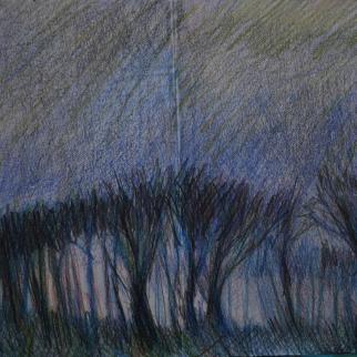 trees, landscape, coloured pencil, small 