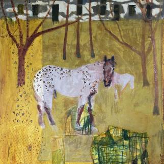 Appaloosa horse in yellow field with trees and farm buildings