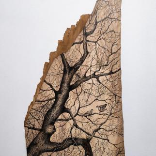 Ash Tree, graphite pencil on ash wood, 2023.
