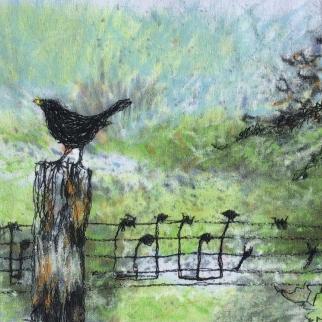 singing blackbird mixed media hayley mills artist fife