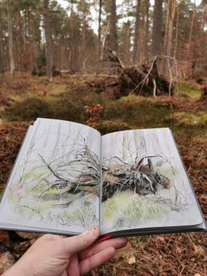 Sketchbook page with pastel drawing of fallen tree roots by Jennifer Robson Artist  
